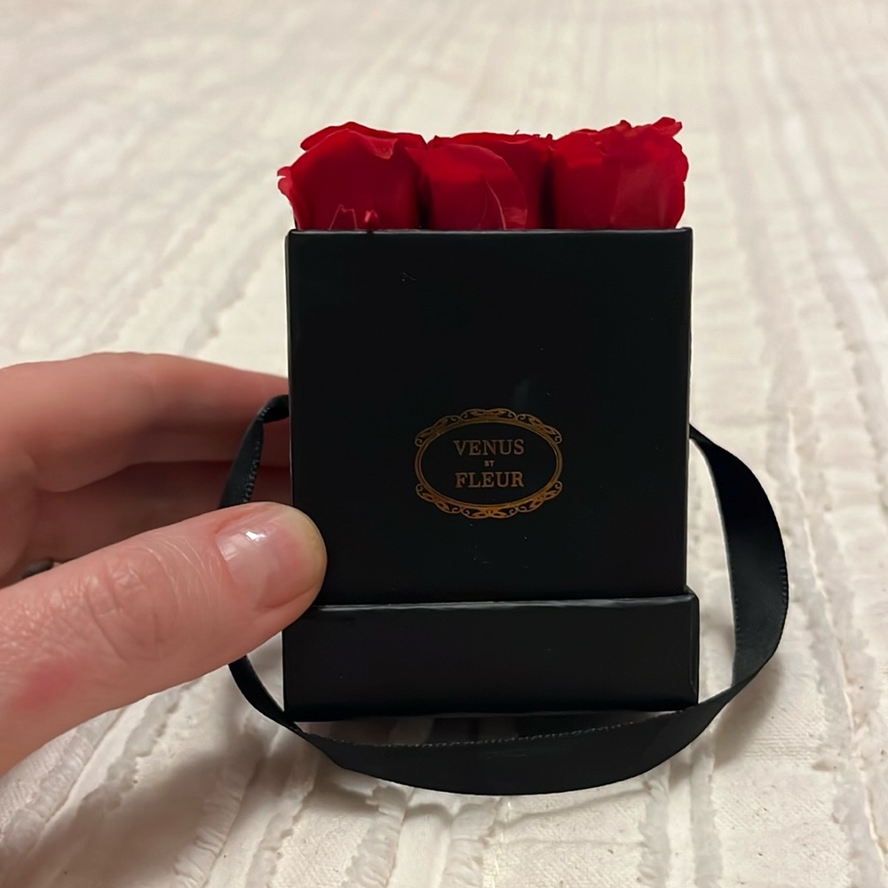 Mini Venus Et Fleur Preserved Roses